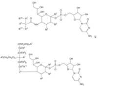 Figure 112009026250918-PCT00177