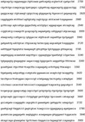 Figure IDA0002935257620000331