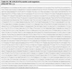 Figure imgf000033_0002