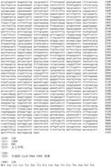 Figure IDA0002536600790001191