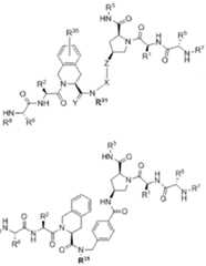 Figure imgf000051_0003