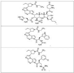 Figure imgf000069_0002