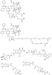 Figure imgf000144_0001
