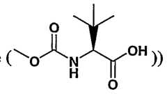 Figure imgf000020_0002