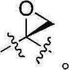 Figure BDA00001672379901382