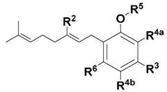 Figure imgf000054_0001