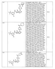 Figure 109139846-A0202-12-0225-93