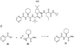 Figure imgf000421_0001