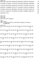 Figure imgb0317