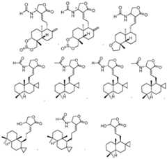 Figure imgf000131_0001