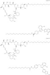 Figure US11364300-20220621-C00257