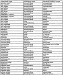 Figure imgf000029_0001