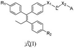 Figure BDA0003078379720000021