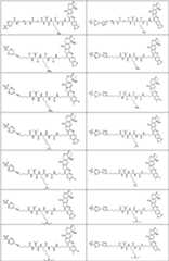 Figure PCTCN2022073822-appb-000358