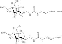 Figure US08840879-20140923-C00100