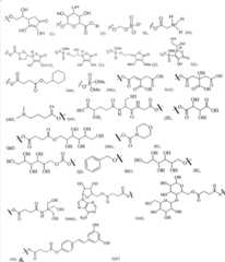 Figure GSA00000093394400231