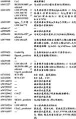 Figure BDA0000057170160001871