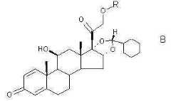 Figure 112009023285935-PCT00006