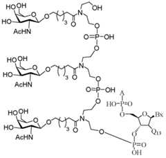 Figure imgf000517_0002