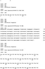Figure imgb0095