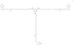 Figure US07141676-20061128-C00010