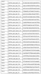 Figure imgf000127_0001