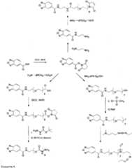 Figure imgf000041_0001