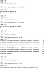 Figure imgb0202