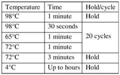 Figure imgf000043_0002