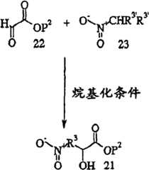 Figure G2009101493490D01112