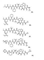 Figure G2009101493490D00771