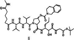 Figure G2009101493490D01891