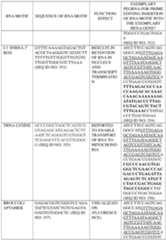 Figure imgf000336_0001