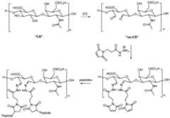 Figure imgf000037_0001