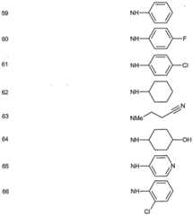 Figure imgf000019_0002