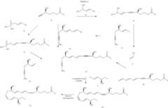 Figure US08481772-20130709-C00016