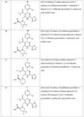 Figure imgf000028_0001