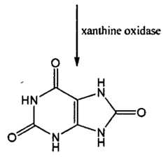 Figure imgf000004_0002