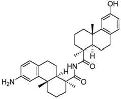 Figure BDA0002889616220002542