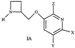 Figure imgf000005_0002