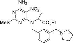 Figure BDA0000075082050001633