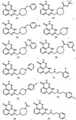 Figure GPA00001142984900121