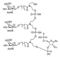 Figure 2023012548000360