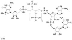 Figure imgf000088_0002