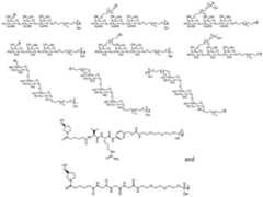 Figure imgf000029_0001