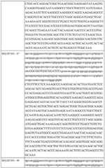 Figure BDA0002742983620000461