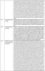 Figure BDA0001868160740001311