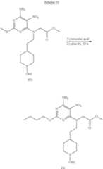 Figure US08367670-20130205-C00291