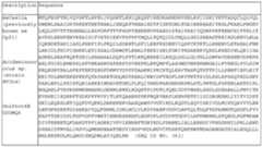 Figure imgf000146_0001