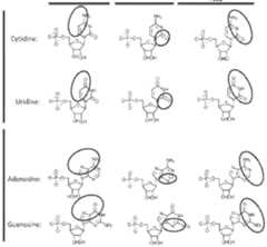 Figure imgf000671_0001